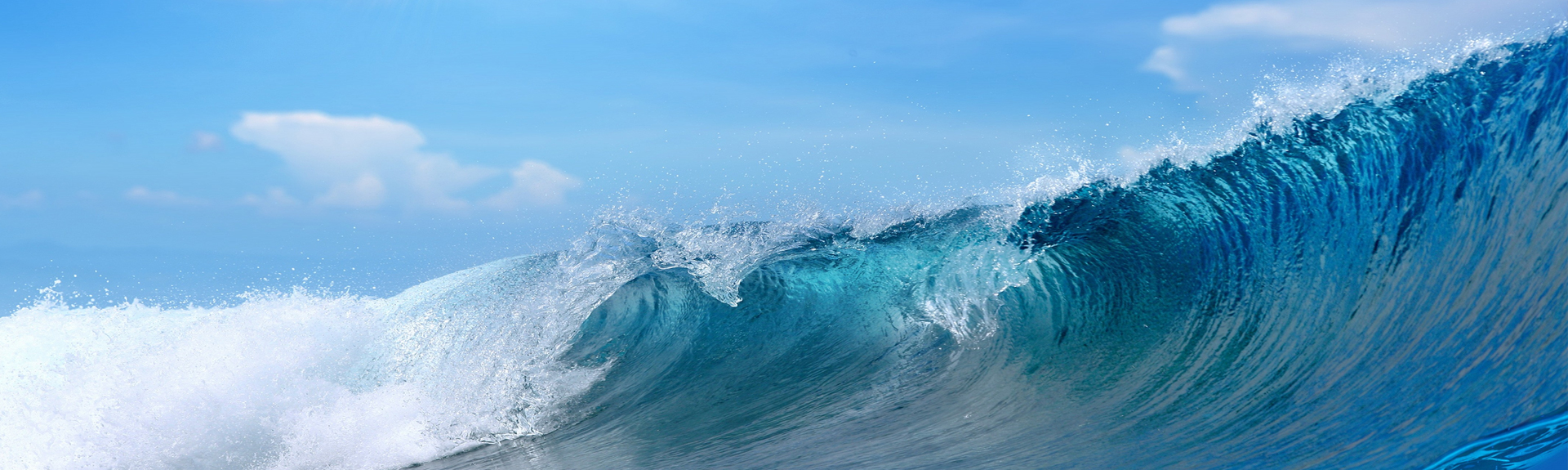 yl23411ÓÀÀû(Öйú)ÓÐÏÞ¹«Ë¾¹ÙÍø